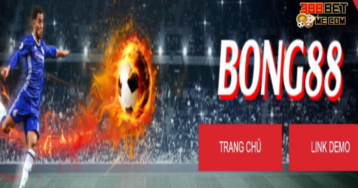 388Bet được hưởng toàn bộ quyền lợi từ nhà cái Bong88